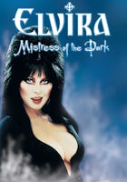 Elvira: Mistress of the Dark (AMC)