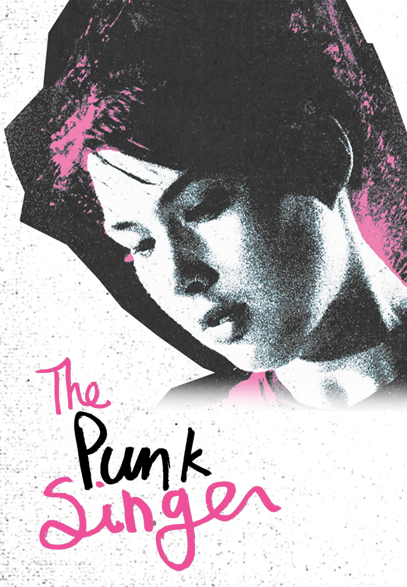 Punk Singer, The