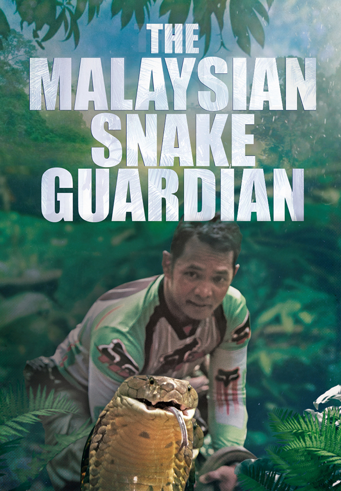 The Malaysian Snake Guardian