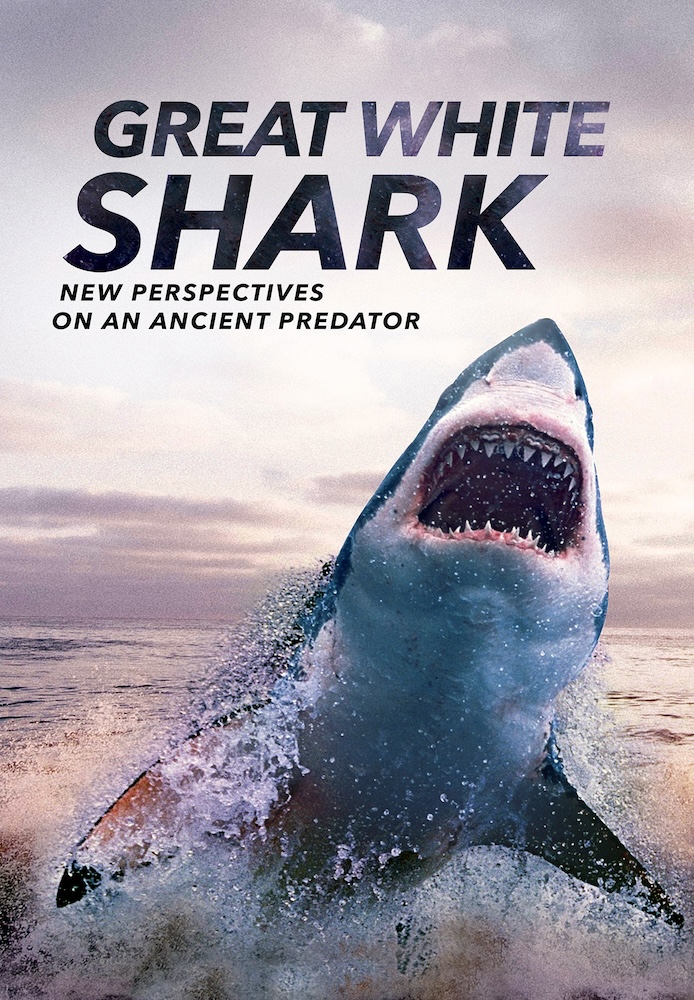 Great White Shark: New Perspectives on an Ancient Predator