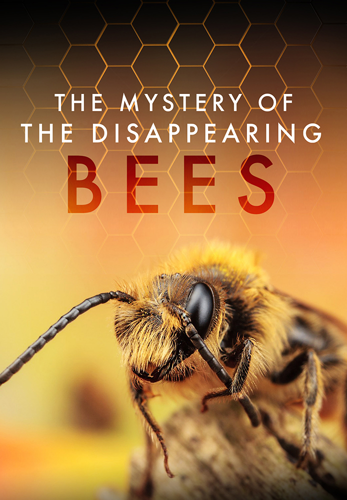 The Mystery of the Disappearing Bees