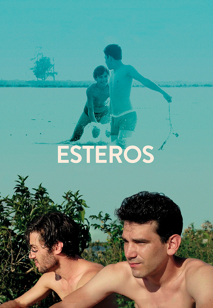 Estuários