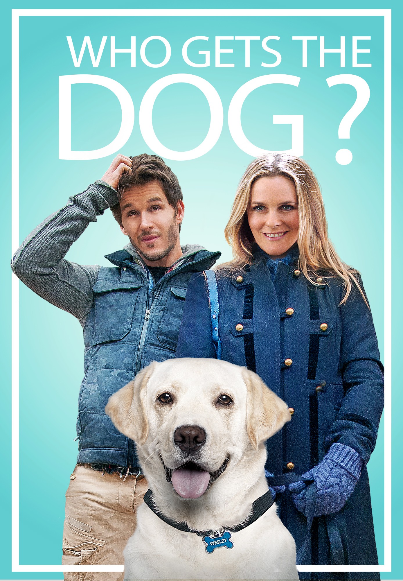 Who Gets The Dog
