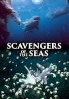 Sharks, Scavengers of the Seas