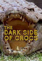 Dark Side of Crocs
