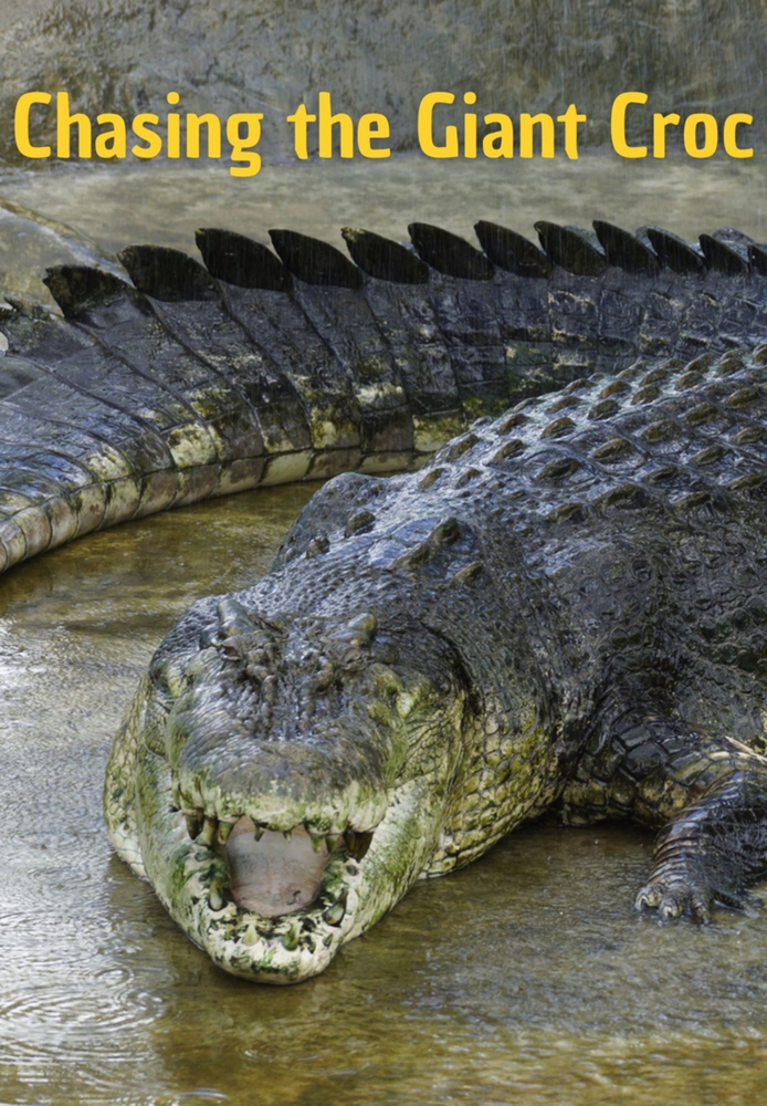 Face au crocodile géant