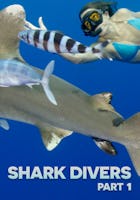 Shark Divers Part 1