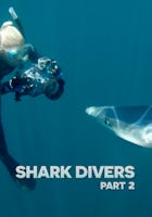 Shark Divers Part 2