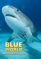 Blue World: Shark Encounters in the Deep
