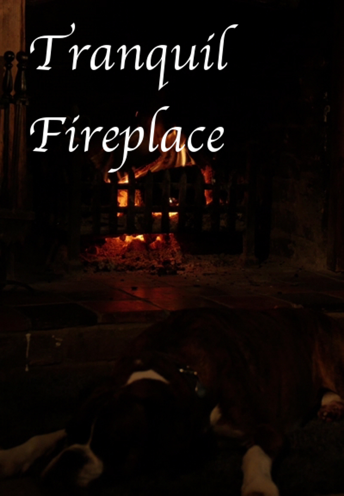 Tranquil Fireplace (Signature)