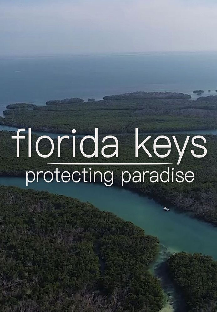Florida Keys Protecting Paradise