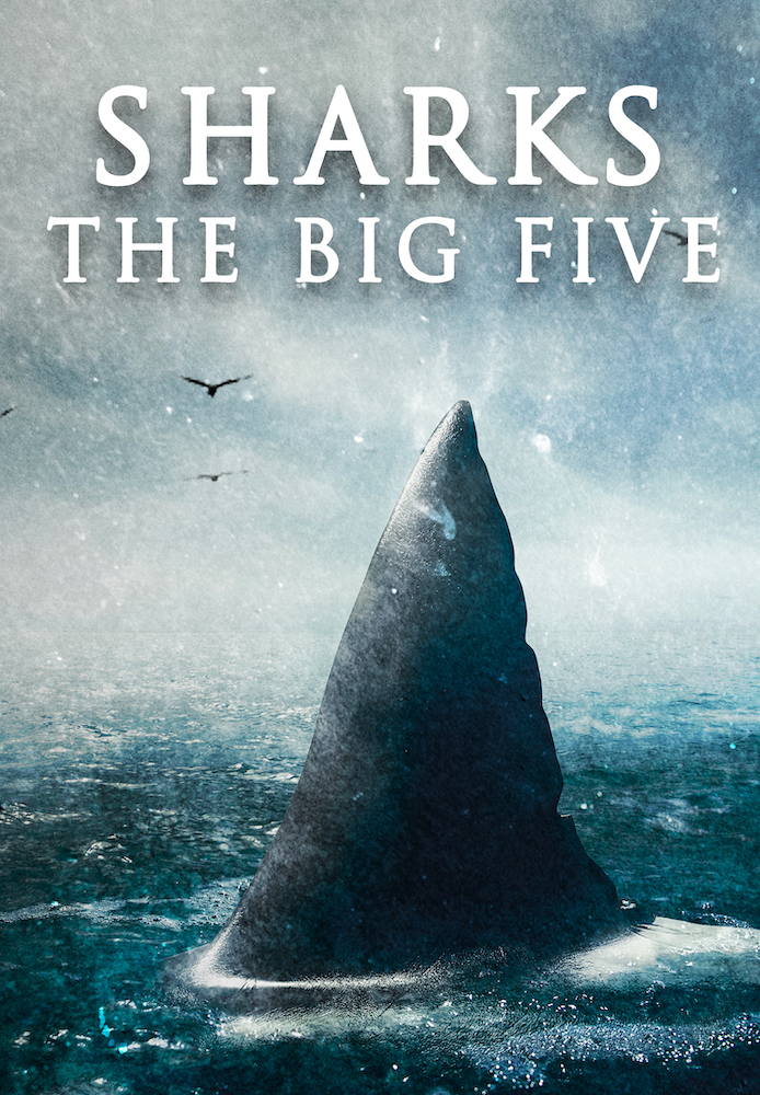 Sharks: The Big Five