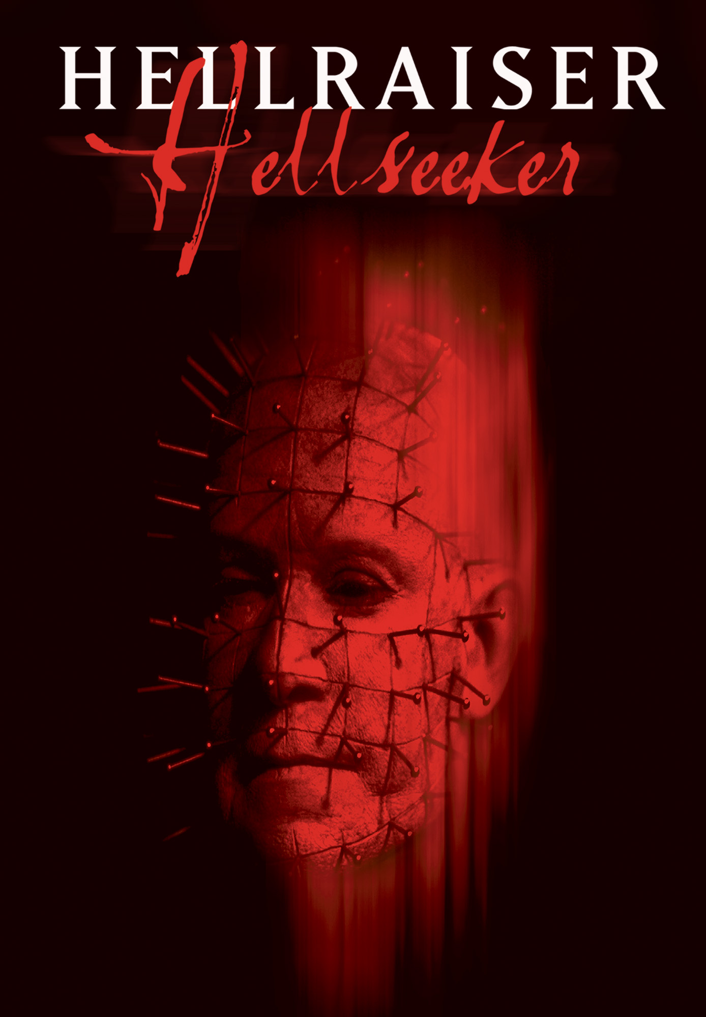 pochette du film Hellraiser: Hellseeker