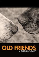 Old Friends: A Dogumentary