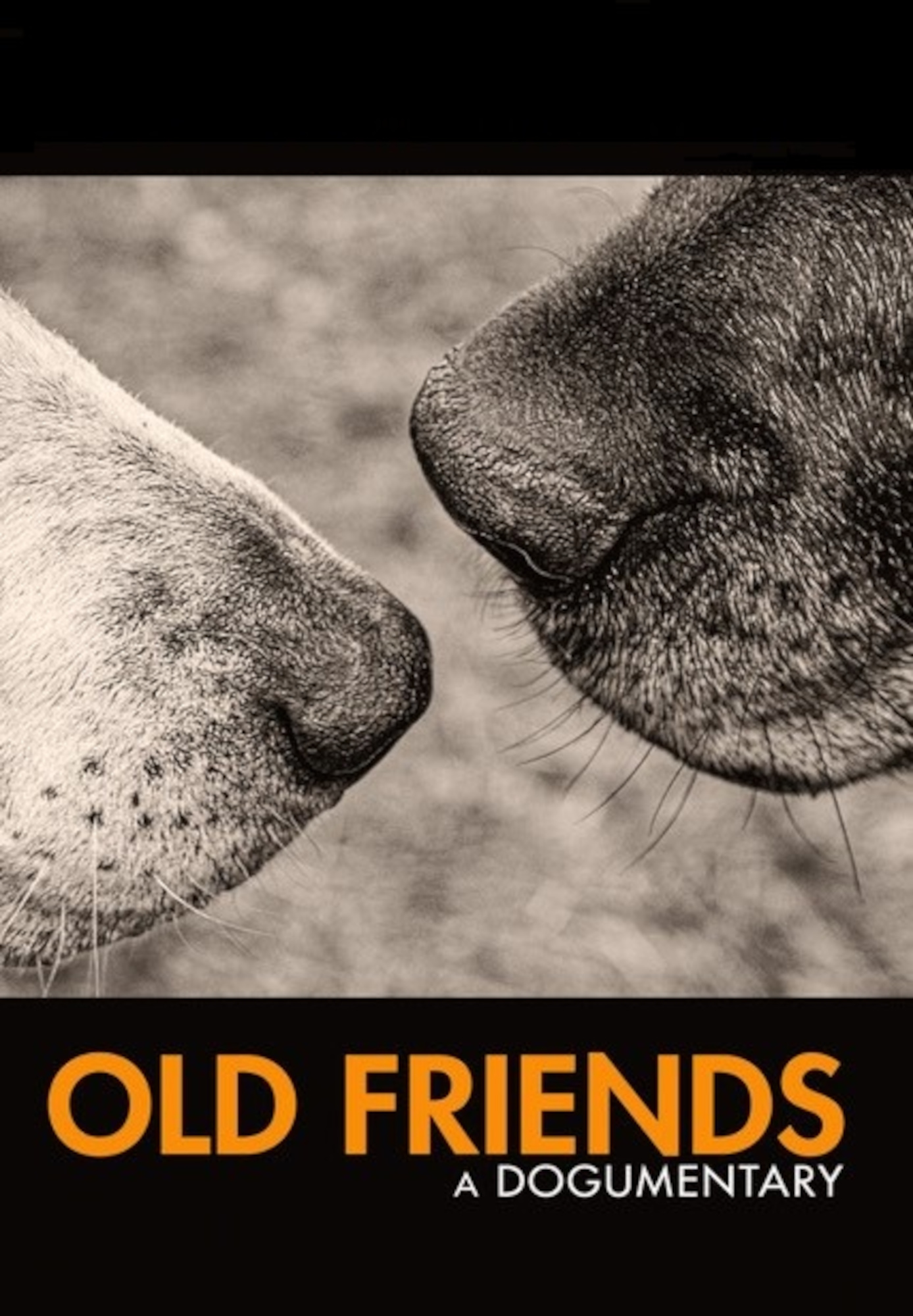 Old Friends: A Dogumentary