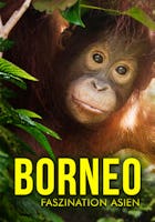 Borneo – Faszination Asien