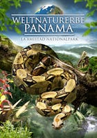 Weltnaturerbe Panama: La Amistad Nationalpark