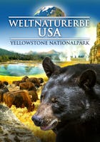 Weltnaturerbe USA - Yellowstone Nationalpark