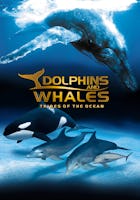 Dolphins And Whales: Tribes Of The Ocean