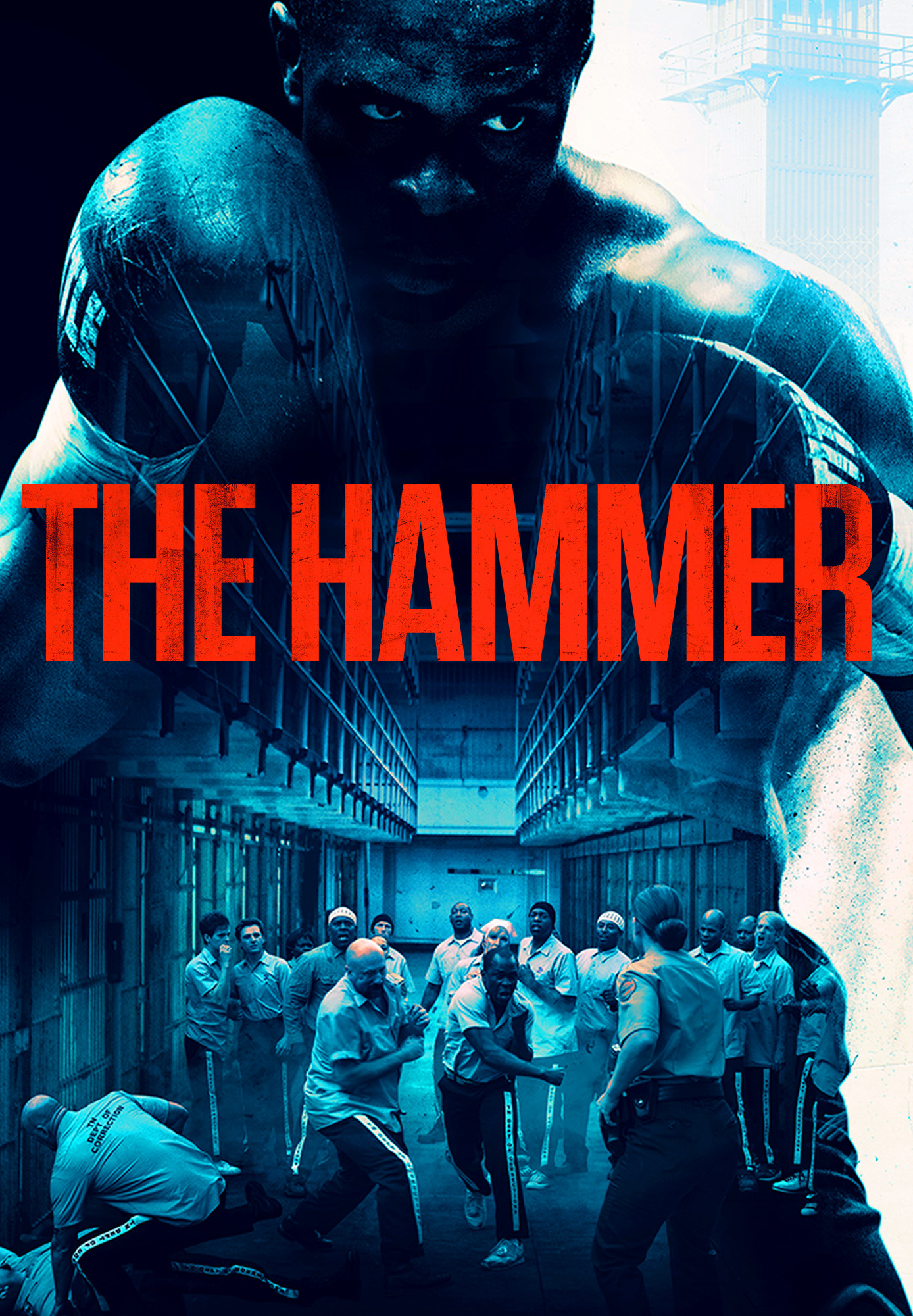 The Hammer