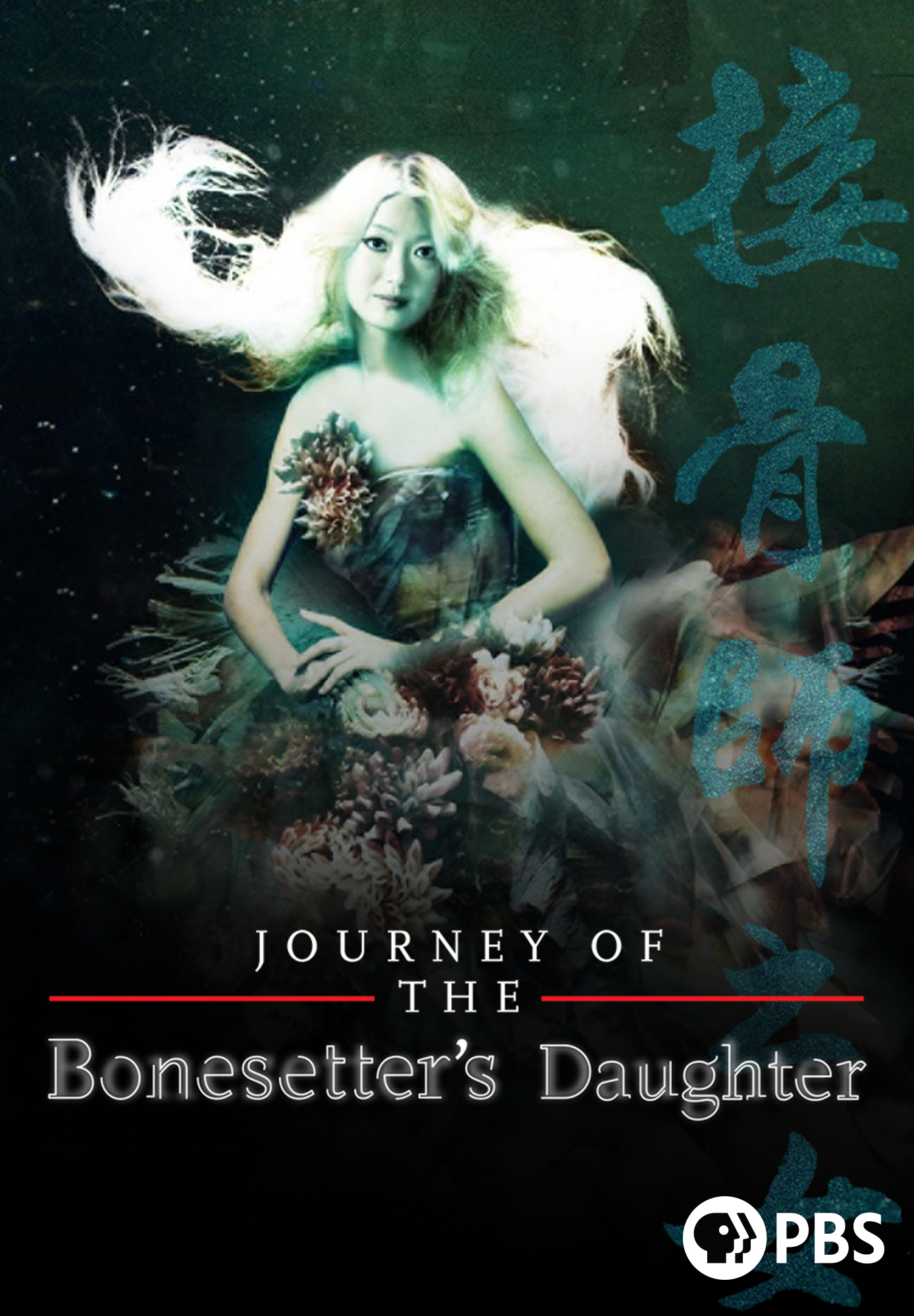 Journey of the Bonesetter's Daughter