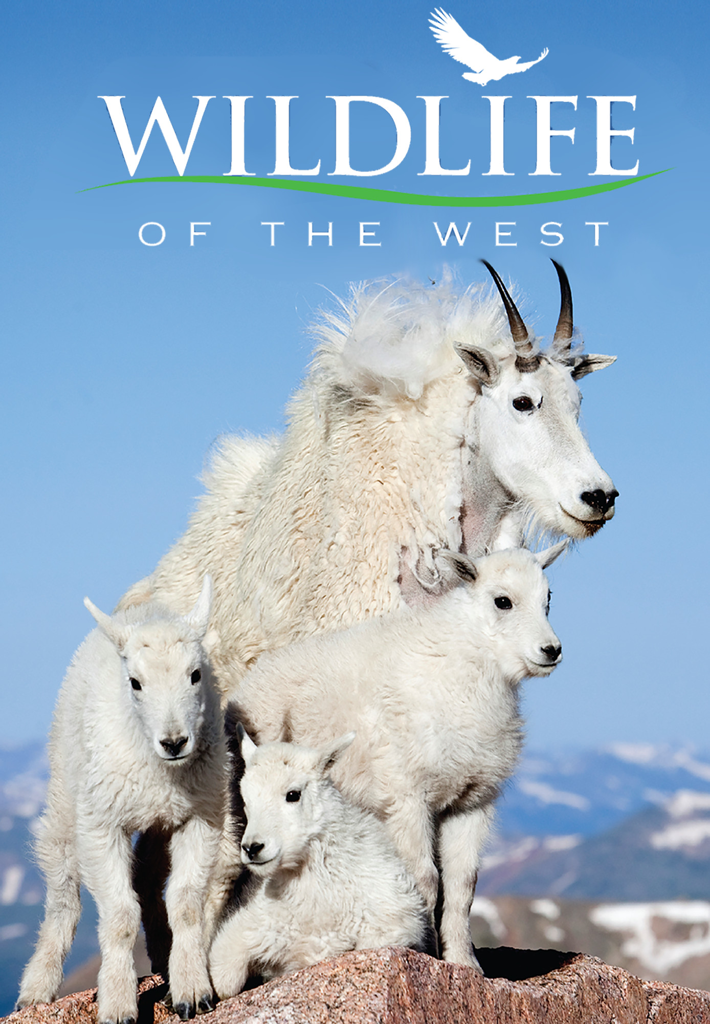 Wildlife Of The West