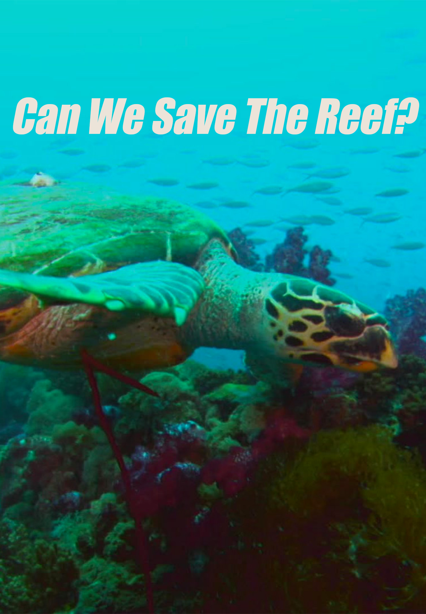 Can We Save The Reef?