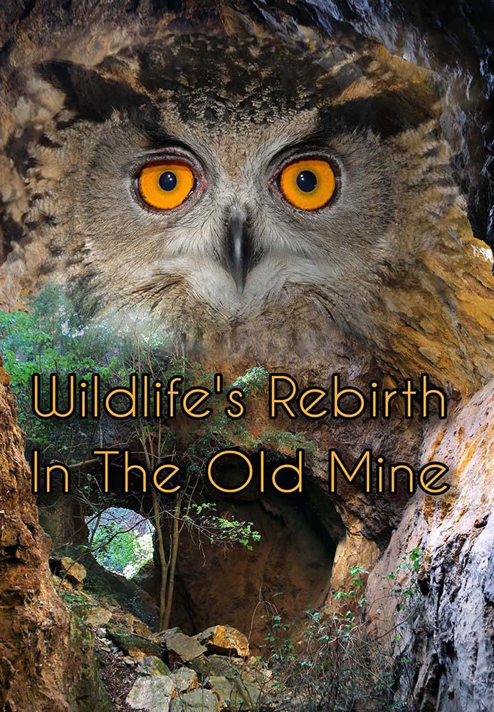 Wildlife Rebirth in the Old Mine