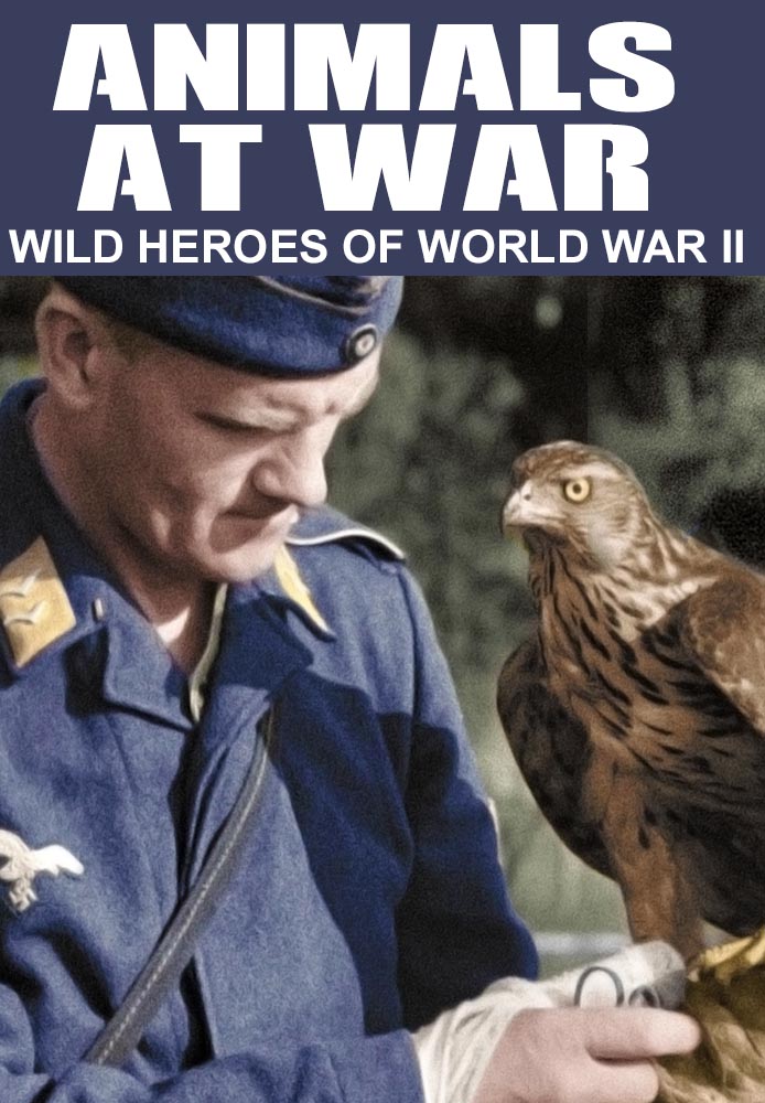 Animals at War: Wild Heroes of World War II