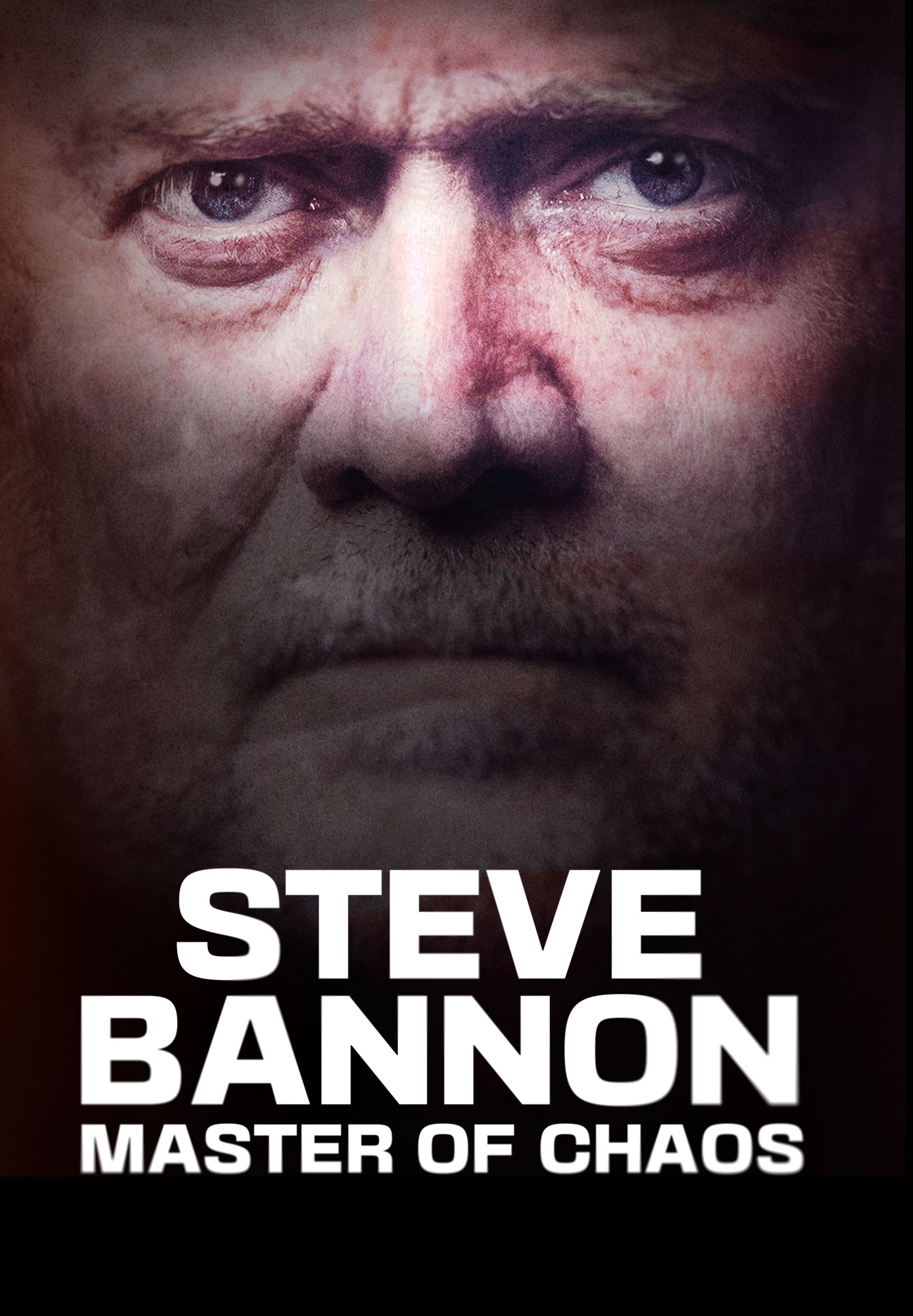 Steve Bannon: Master of Chaos