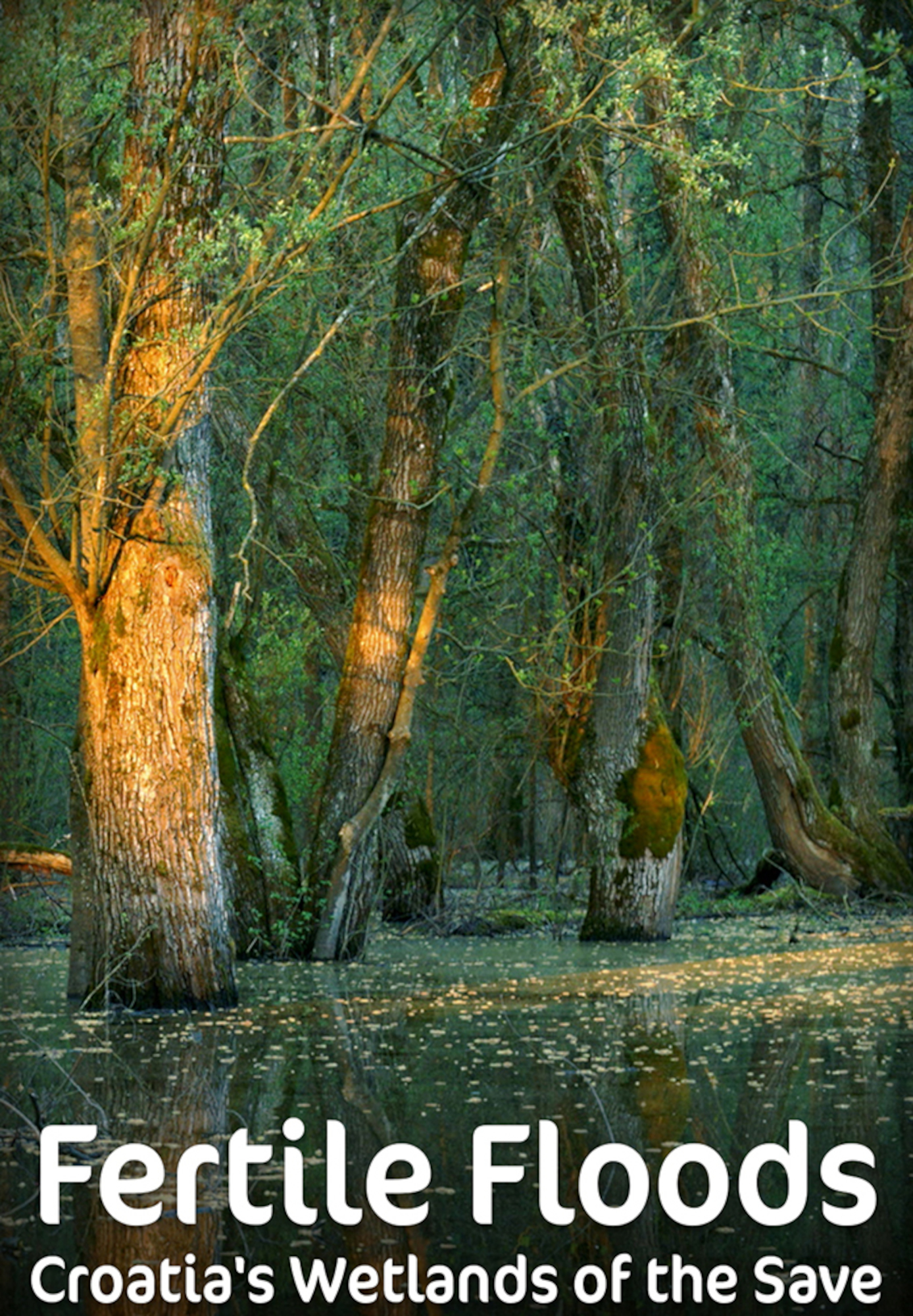 Fertile Floods - Croatia's Wetlands of the Save
