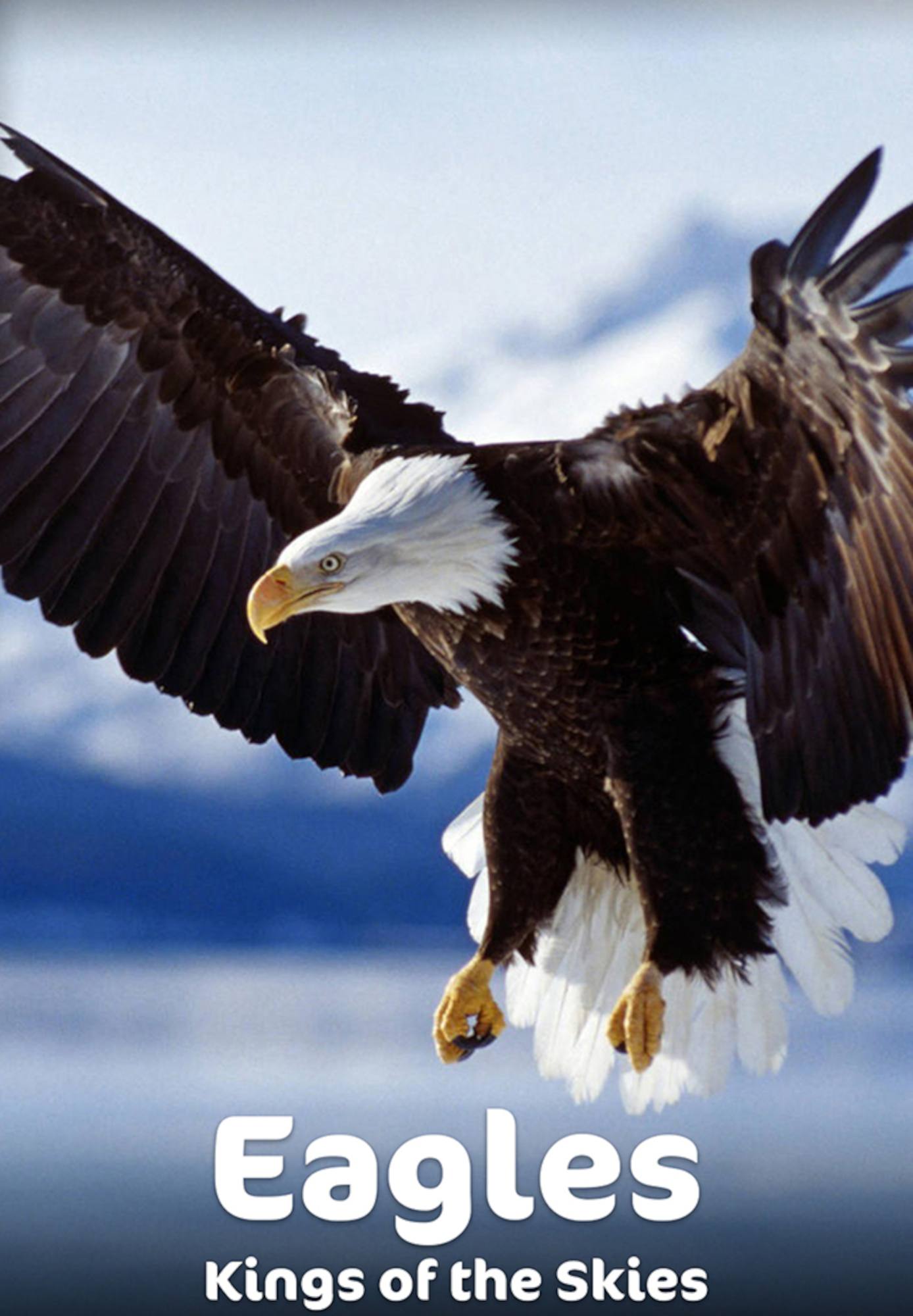 Eagles - Kings of the Skies