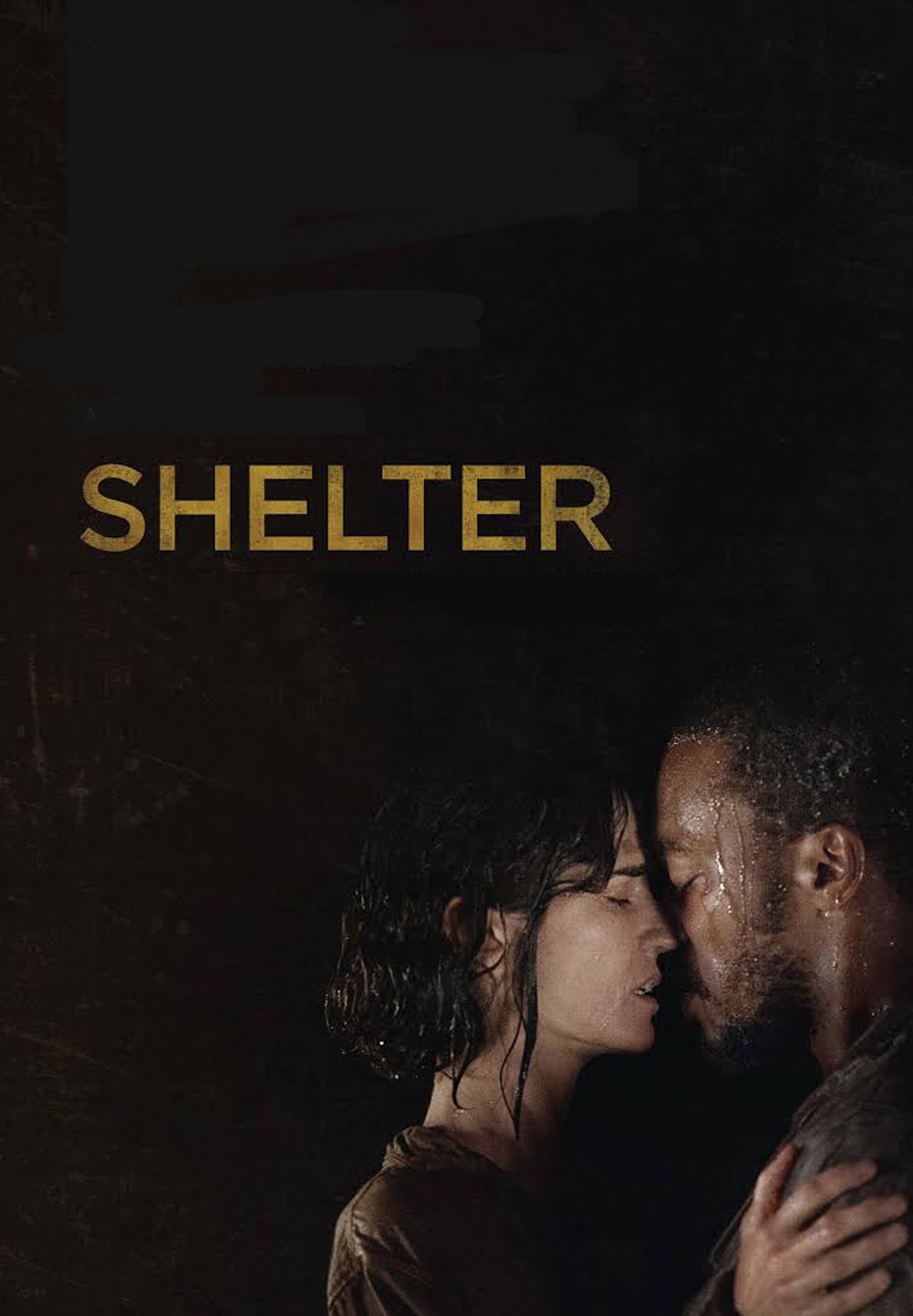 Shelter