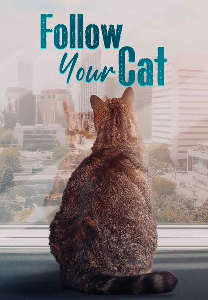 Follow Your Cat