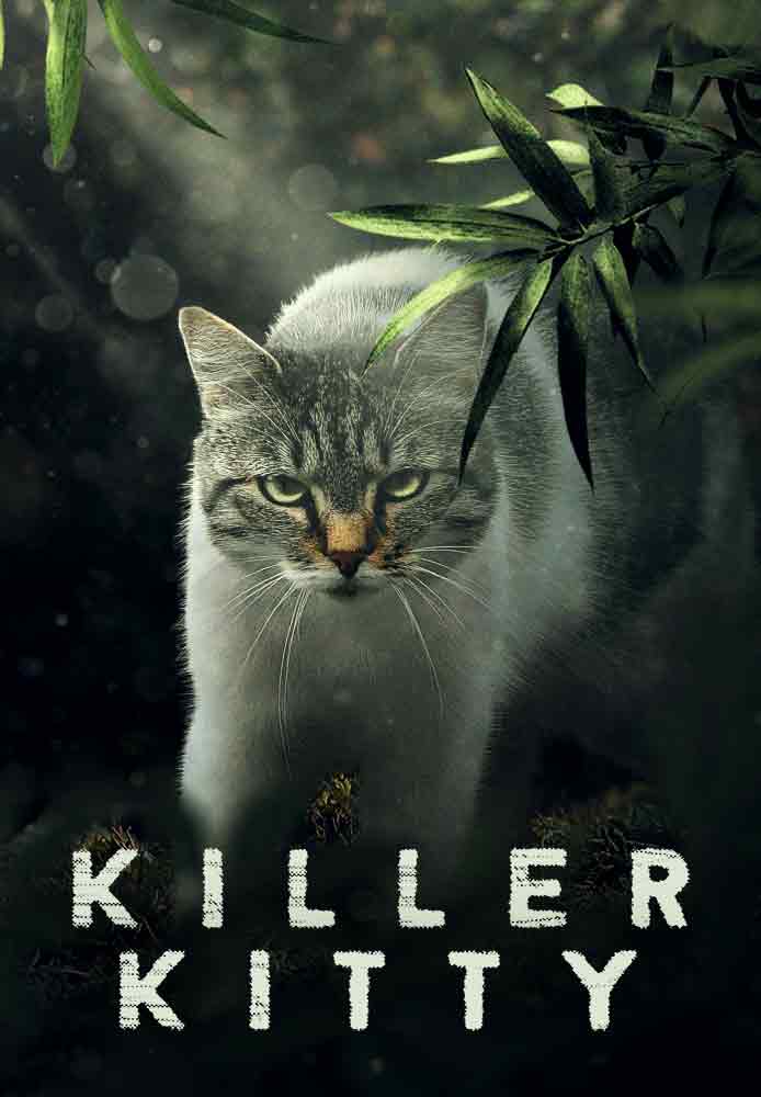 Killer Kitty