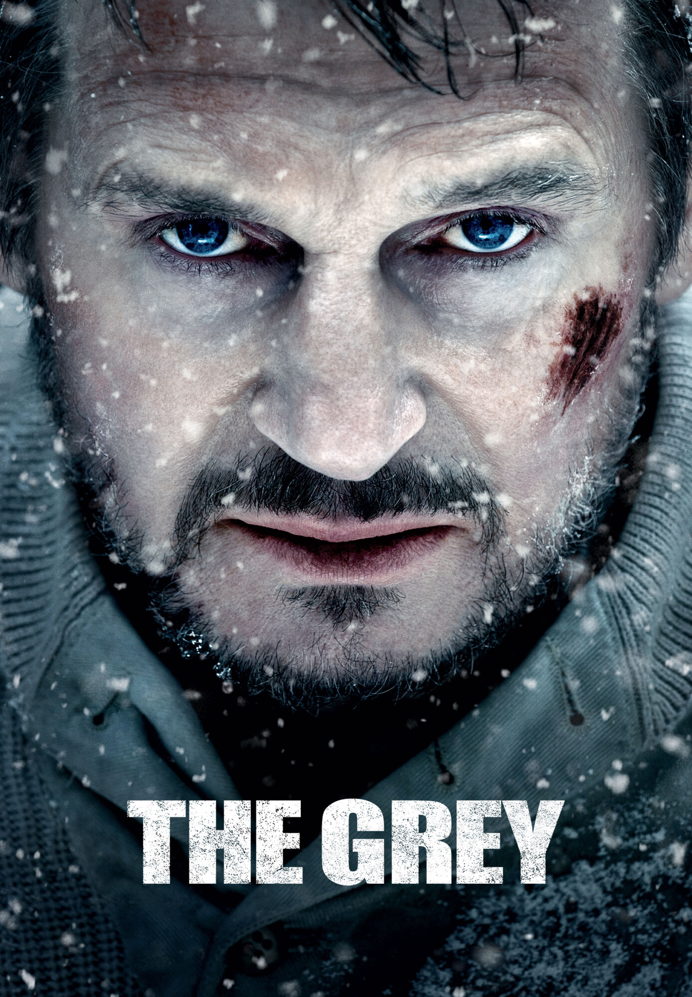 The Grey