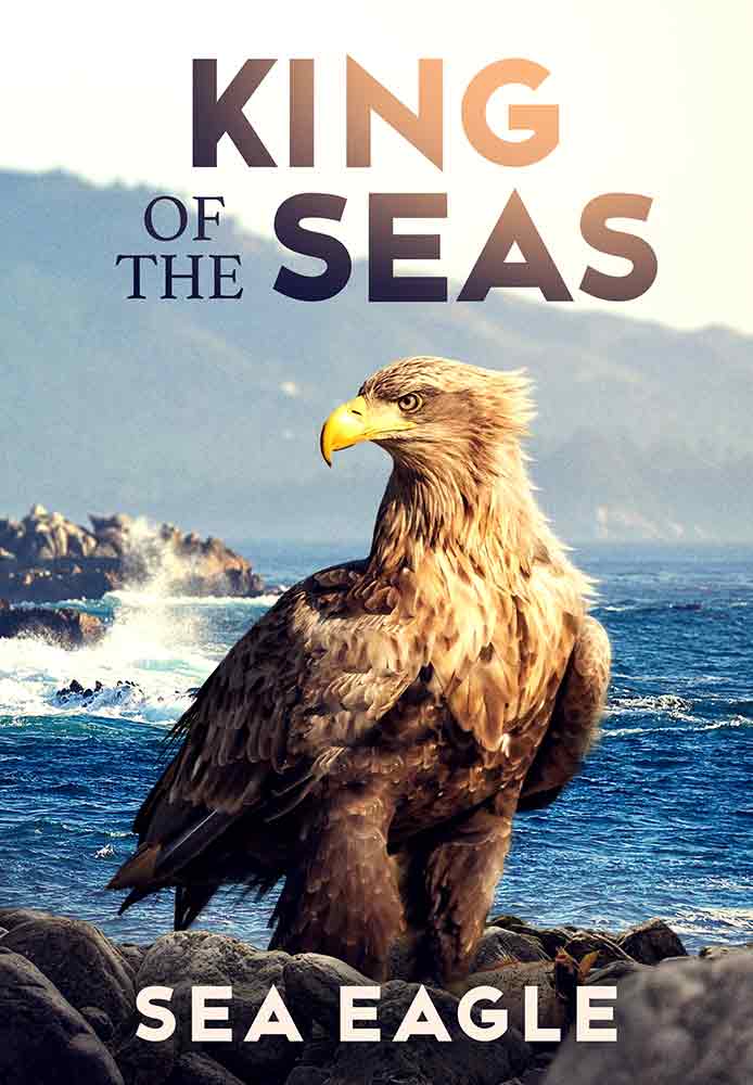 King of the Seas - Sea Eagle
