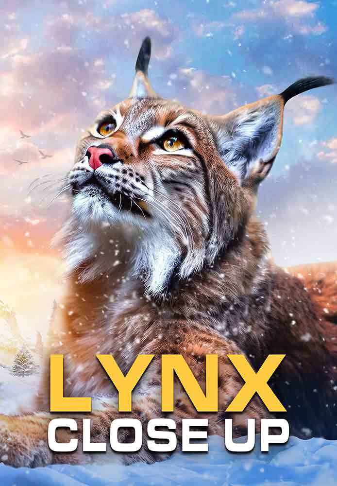 Lynx - Close Up