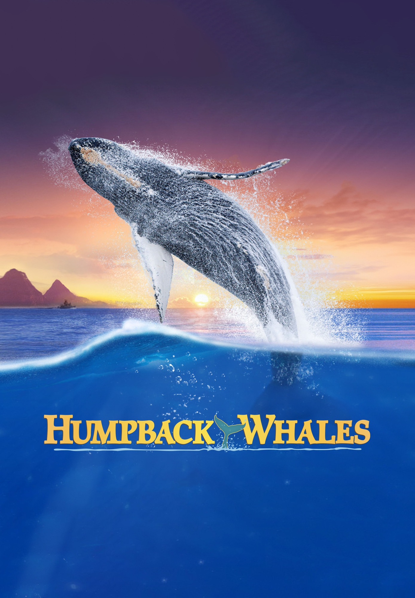Humpback Whales