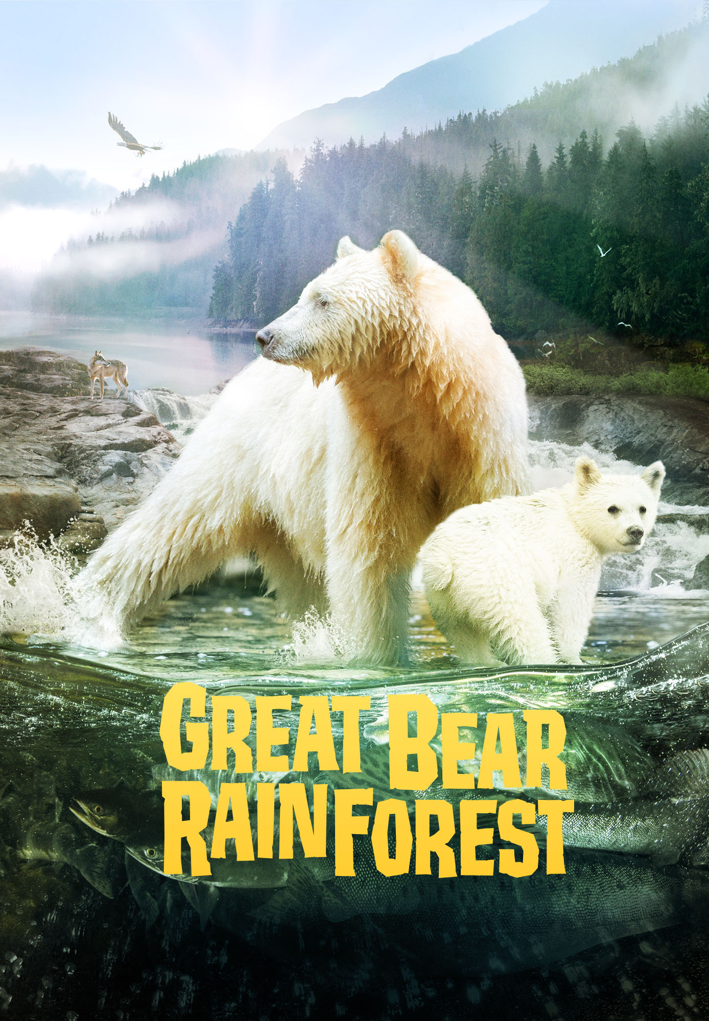 Great Bear Rainforest