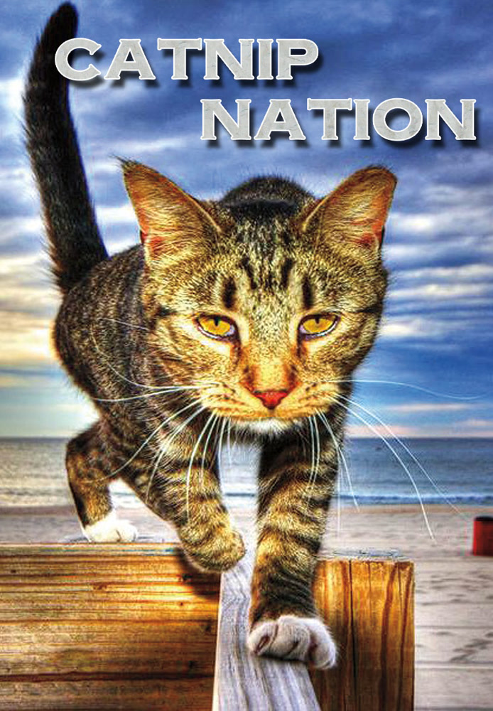 Catnip Nation