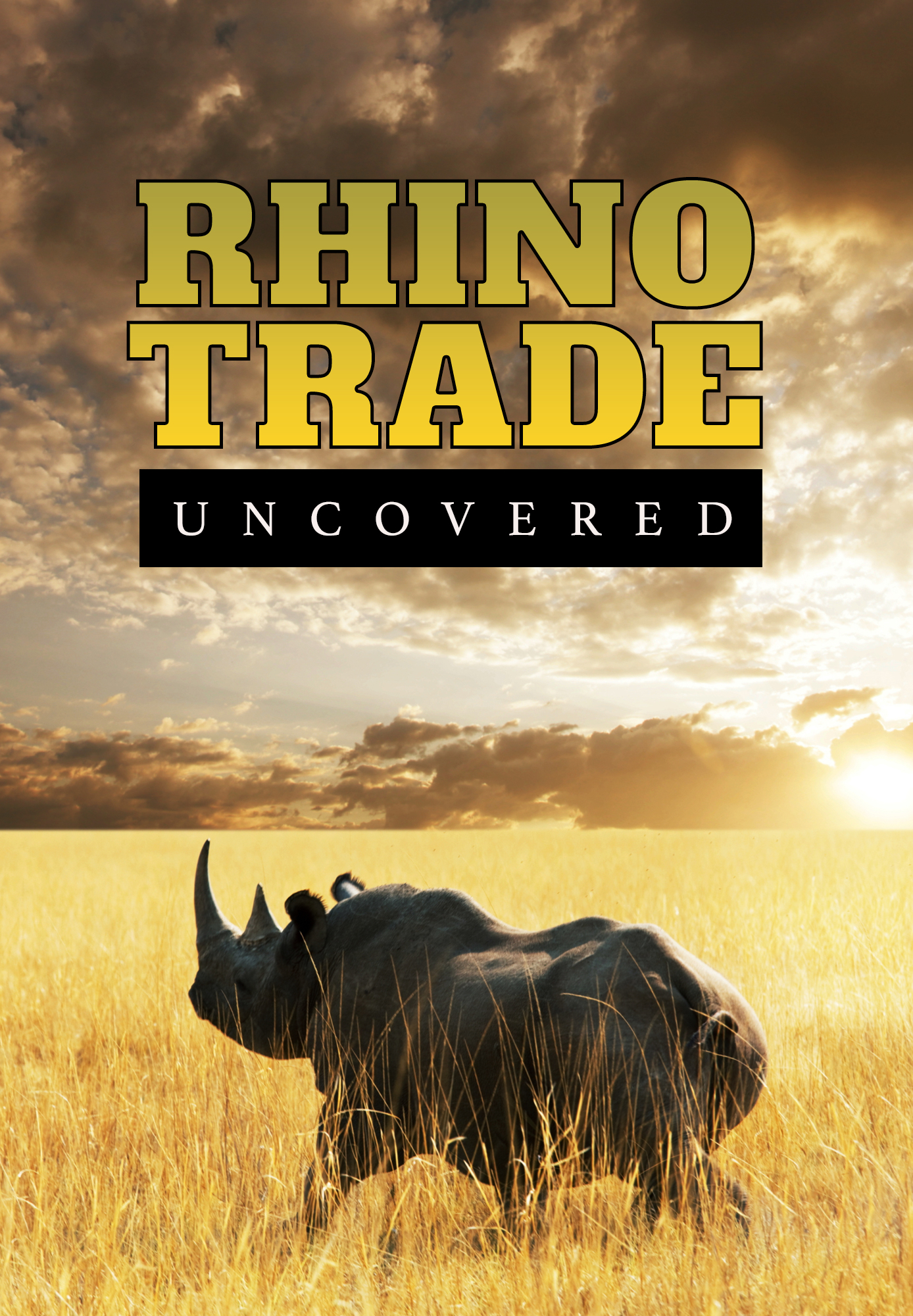 Rhino Trade Uncovered