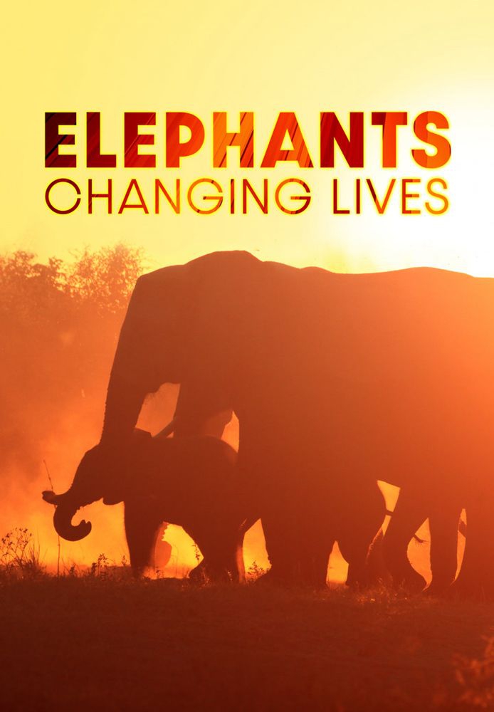 Elephants: Changing Lives