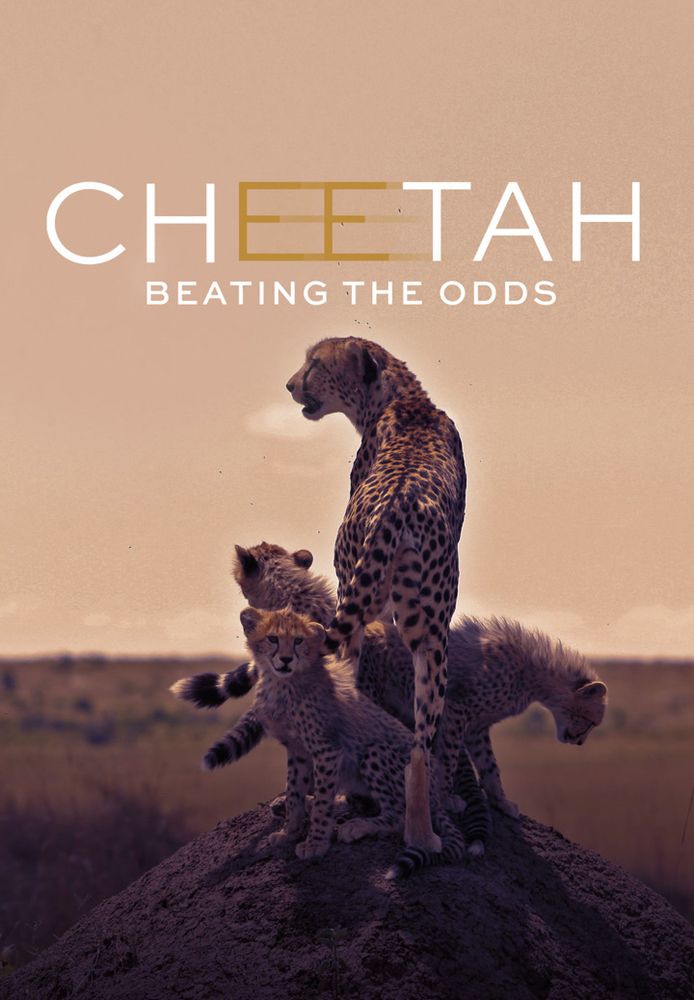 Cheetah: Beating the Odds