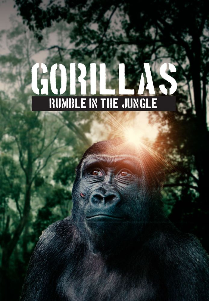 Gorillas: Rumble In The Jungle