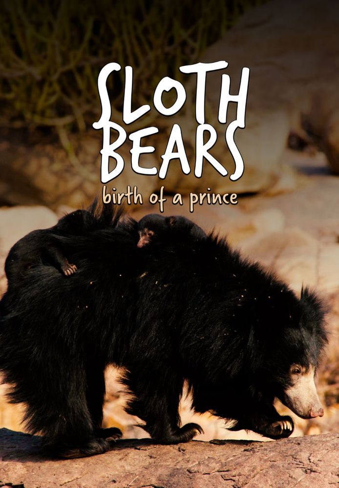 Sloth Bears: Birth Of A Prince