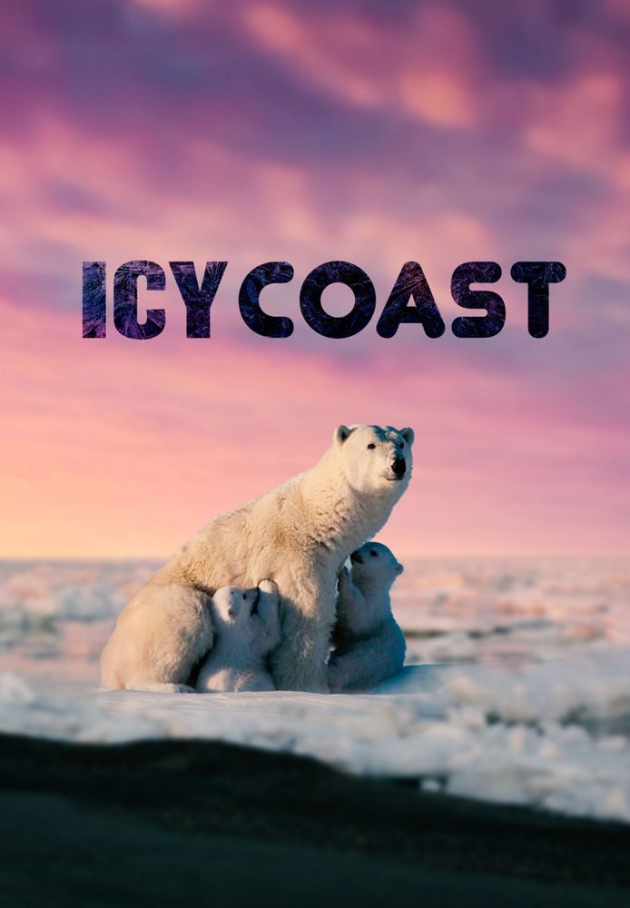 Icy Coast