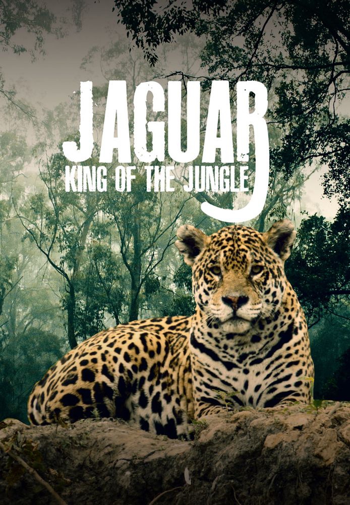 Jaguar: King Of The Jungle