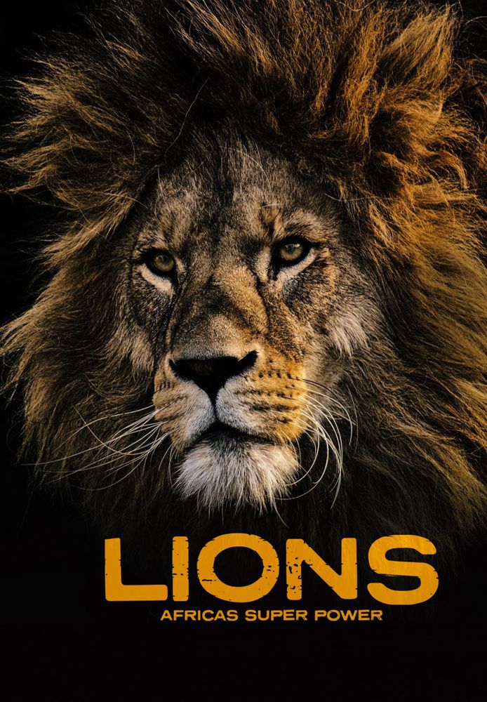 Lions: Africa's Super Power