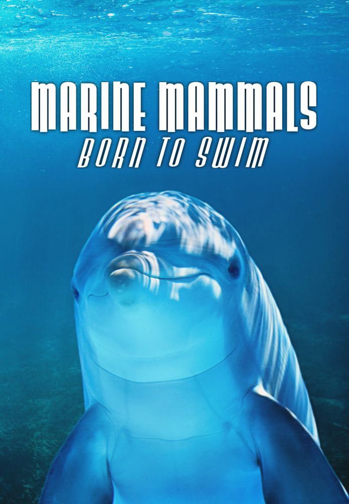 Marine Mammals Born to Swim
